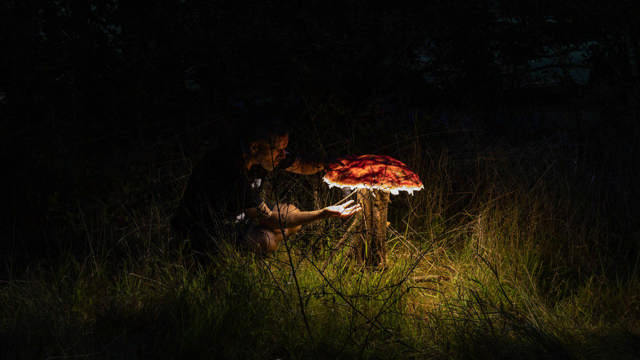 Foto af installationen