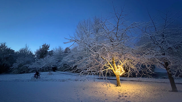 Foto af kunstværket “Fugleflugt”