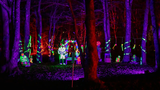 Foto af installationen Plads til dig